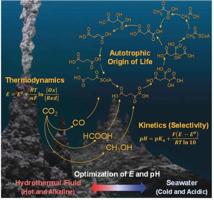 Deep Sea Hydrothermal Vent Theory