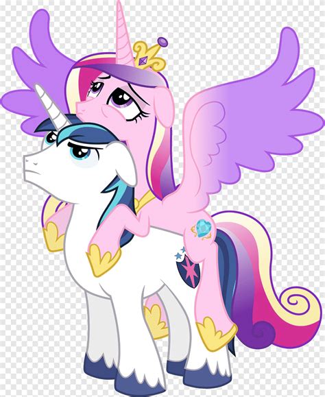 Princess Cadance Twilight Sparkle Shining Armor YouTube งานแต่งงาน Canterlot เจ้าหญิง, รูปสัตว์ ...