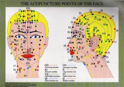 Acupuncture Points of the Face - Chart | Acupuncture points chart, Acupuncture points, Acupuncture