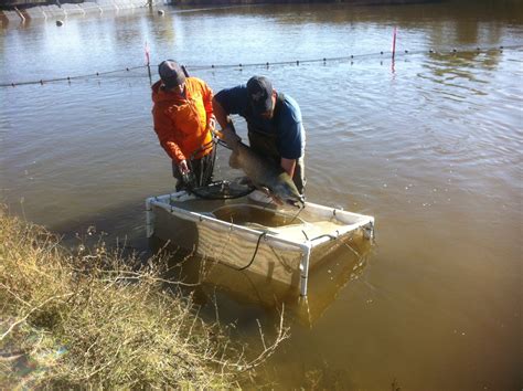 San Joaquin River Restoration Program – Friant Waterline