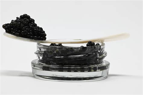 Classic White Sturgeon Caviar - 1oz – Four Star Seafood and Provisions