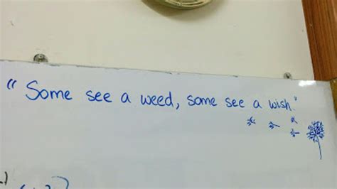 Funny Quotes To Write On A Whiteboard - MCgill Ville