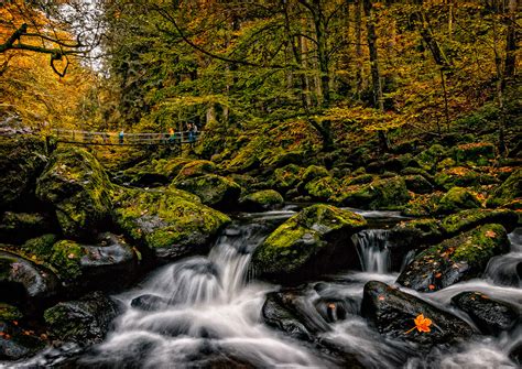 Nationalpark Bavarian Forest on Behance