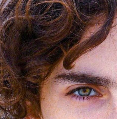 𝕿𝖍𝖊 𝕱𝖎𝖗𝖘𝖙 𝕽𝖚𝖑𝖊 𝕴𝖘 — Eyes of Timothée Chalamet