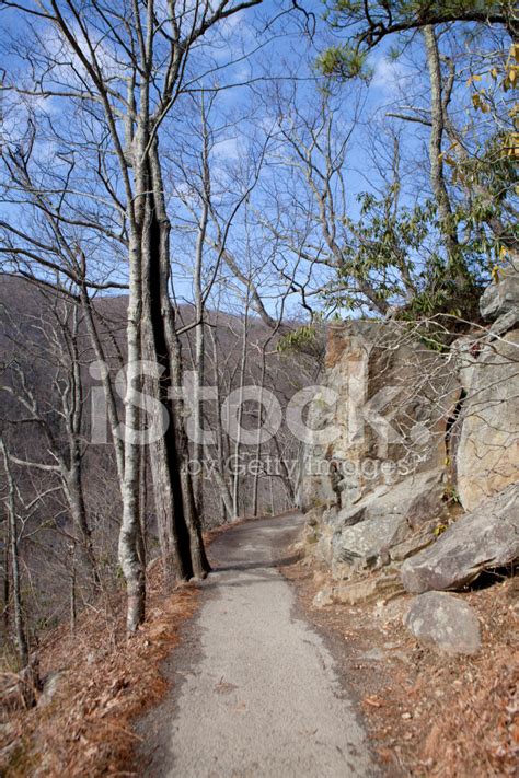 Hiking Trail IN Great Smoky Mountains National Park Stock Photos ...