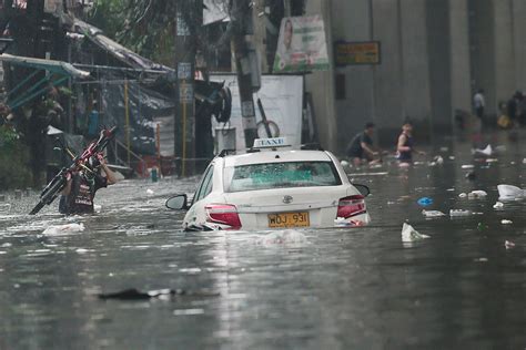 ‘Nature-based’ flood prevention seen requiring overhaul of cost-benefit ...