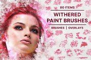 Withered Paint Brushes | Brushes ~ Creative Market
