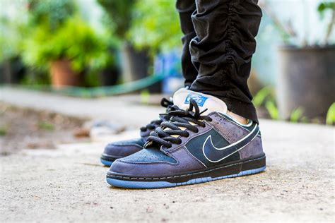 Nike Dunk Low SB Blue Lobster Review