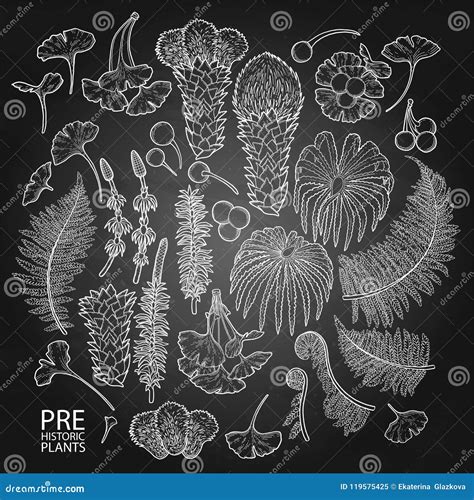 Collection of Vector Prehistoric Plants Stock Vector - Illustration of ...