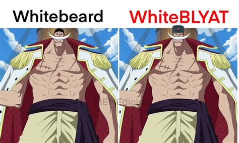 Whitebeard - 9GAG