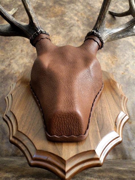 Custom Elk Antler Mount | Antler mount, Deer mounts, Elk antlers