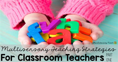 Multisensory Teaching Strategies in the Classroom: Part One | The Literacy Nest