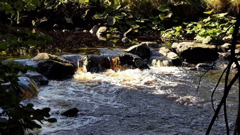 Glenarm River Forest Co Antrim Northern Ireland Autumn at Sunset Golden Hour Stock Photo - Image ...