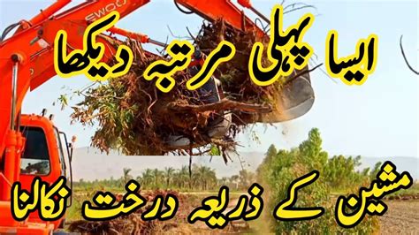 Powerful Big Tree Harvester Working Machine|| Pak vlog - YouTube