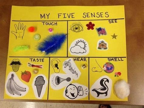 24 Five senses crafts for preschoolers - Preschool and Primary - Aluno On