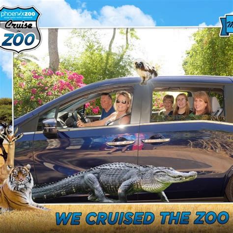 You Can Drive Your Car Through the Phoenix Zoo and See the Animals up Close Until September