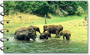 Kerala Wildlife Tour - Wildlife Tours Kerala - Kerala India Wildlife Travel - Wildlife in Kerala ...
