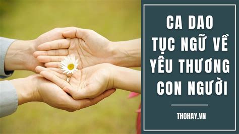 185+ Ca Dao Tục Ngữ Về Yêu Thương Con Người ️️Tình Người