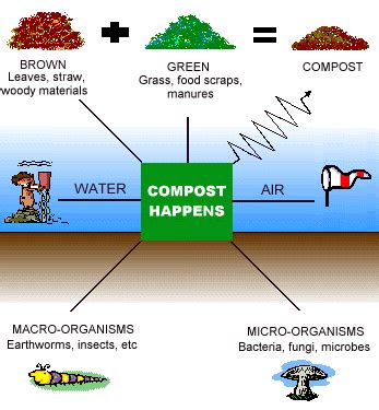 Compost Resources - How to Compost