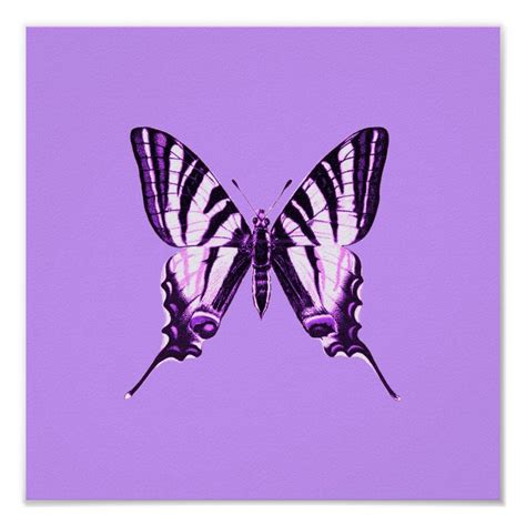 Purple Butterfly Poster | Zazzle | Butterfly poster, Purple aesthetic, Purple butterfly