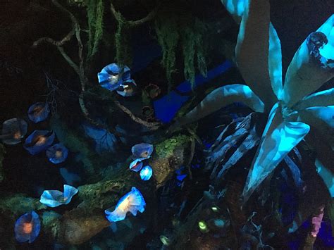 10 Hidden Details in Pandora – The World of Avatar – Orlando ParkStop