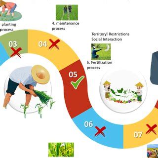 Rice Farming Process | Download Scientific Diagram