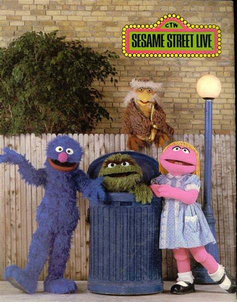 Big Bird's Sesame Street Story - Muppet Wiki