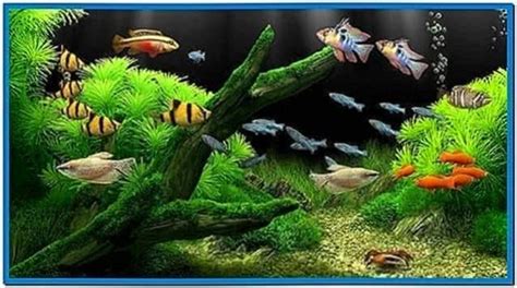 Dream Aquarium Screensaver Full Version Windows 7 - Download-Screensavers.biz