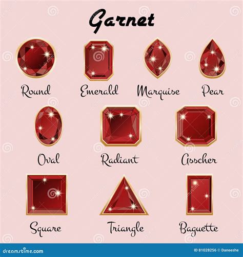 Types of cuts of Garnet stock vector. Illustration of burgundy - 81028256