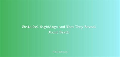 White Owl Sightings and What They Reveal About Death - Spent Saints