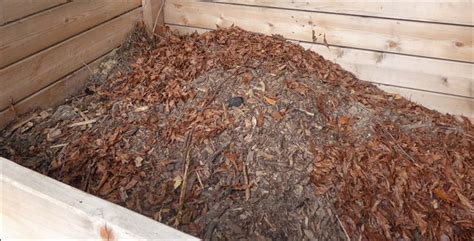 Compost Piles: What You Need To Know