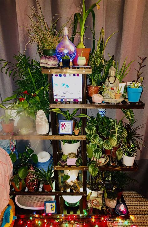 Just finished stocking the new shelves! : r/plants