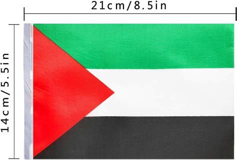 Buy Kind Girl Palestine Flag Palestinians Flag,100Feet/76Pcs National Country World Pennant ...