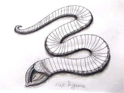 Hognose Snake Playing Dead by AlexKiyama on DeviantArt