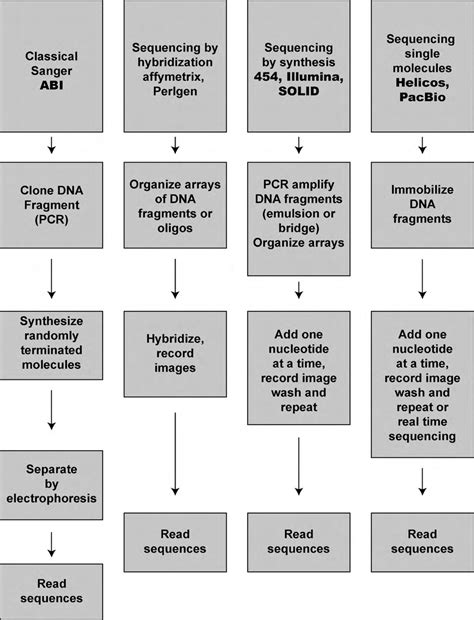 A flow chart of the different types of sequencing methods. | Download ...