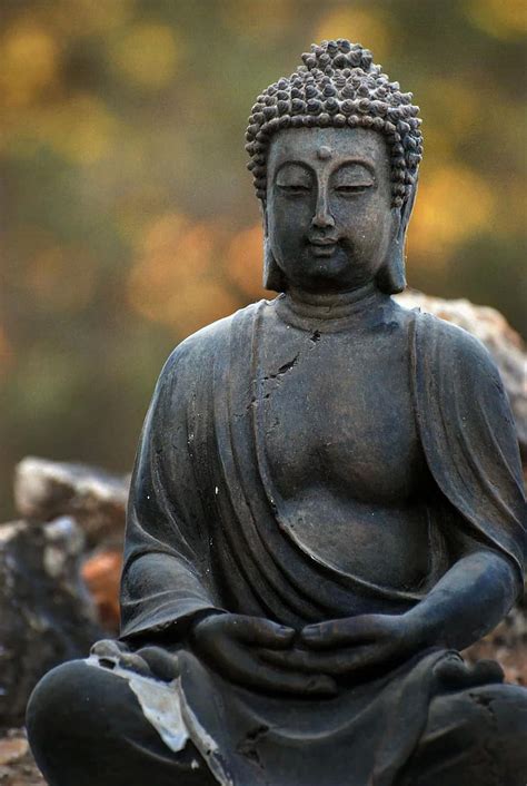 buddha, yoga, meditation, peace, om, statue, sculpture, art, garden, stone sculpture, work of ...