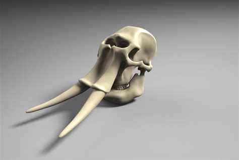 3D printable model mammuthus Elephant Skull | CGTrader