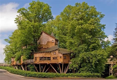 Treehouse at Alnwick Garden - Ed O'Keeffe Photography