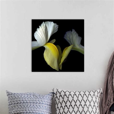 Reach out and touch Wall Art, Canvas Prints, Framed Prints, Wall Peels | Great Big Canvas