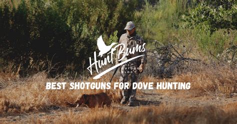 Best Shotguns for Dove Hunting - Hunt Bums