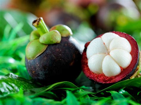 Download Rare Purple Mangosteen Fruit Wallpaper | Wallpapers.com