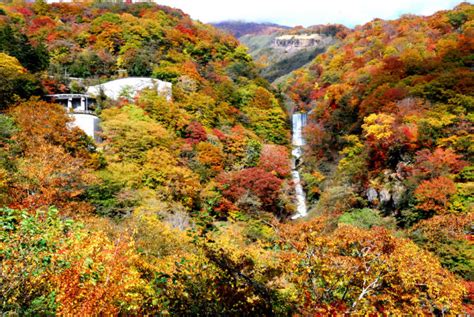 Best Places to See Autumn Leaves in Nikko | Kuriyama Go Travel