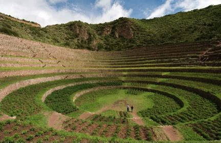 Inca agriculture Archives | The Andean Alliance for Sustainable Development