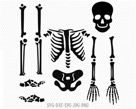 Skeleton parts kit SVG, halloween skeleton svg, skeleton svg, Halloween Svg ,CriCut Files svg ...