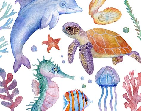 Watercolor Sea Graphics Under Water Clipart Sea Animals Digital ...