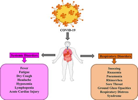 Frontiers | Fighting Strategies Against the Novel Coronavirus Pandemic ...