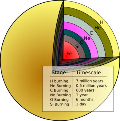 The temperature in the stellar interior increases and more nuclear ...