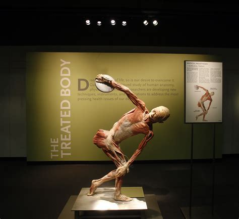 nblyfitness: Bodies: The Exhibition (Atlanta, GA) - not for the faint ...