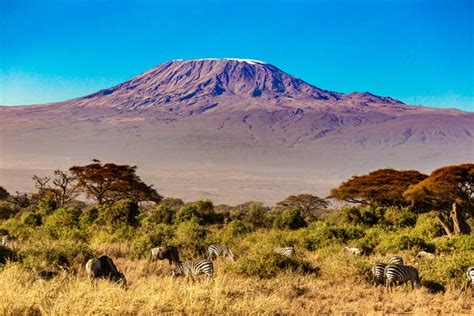 Where Mount Kilimanjaro & Mount Kilimanjaro on Map