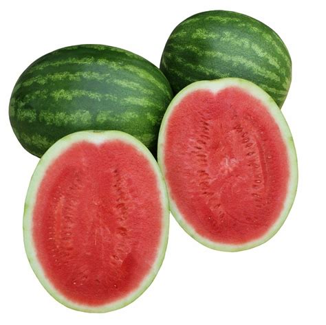 WATERMELON SEEDLESS LARGE WHOLE (EACH)